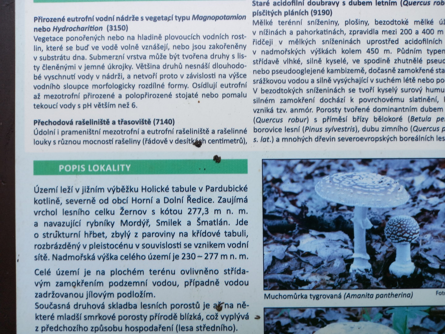 20210927_101133 (Kopírovat)