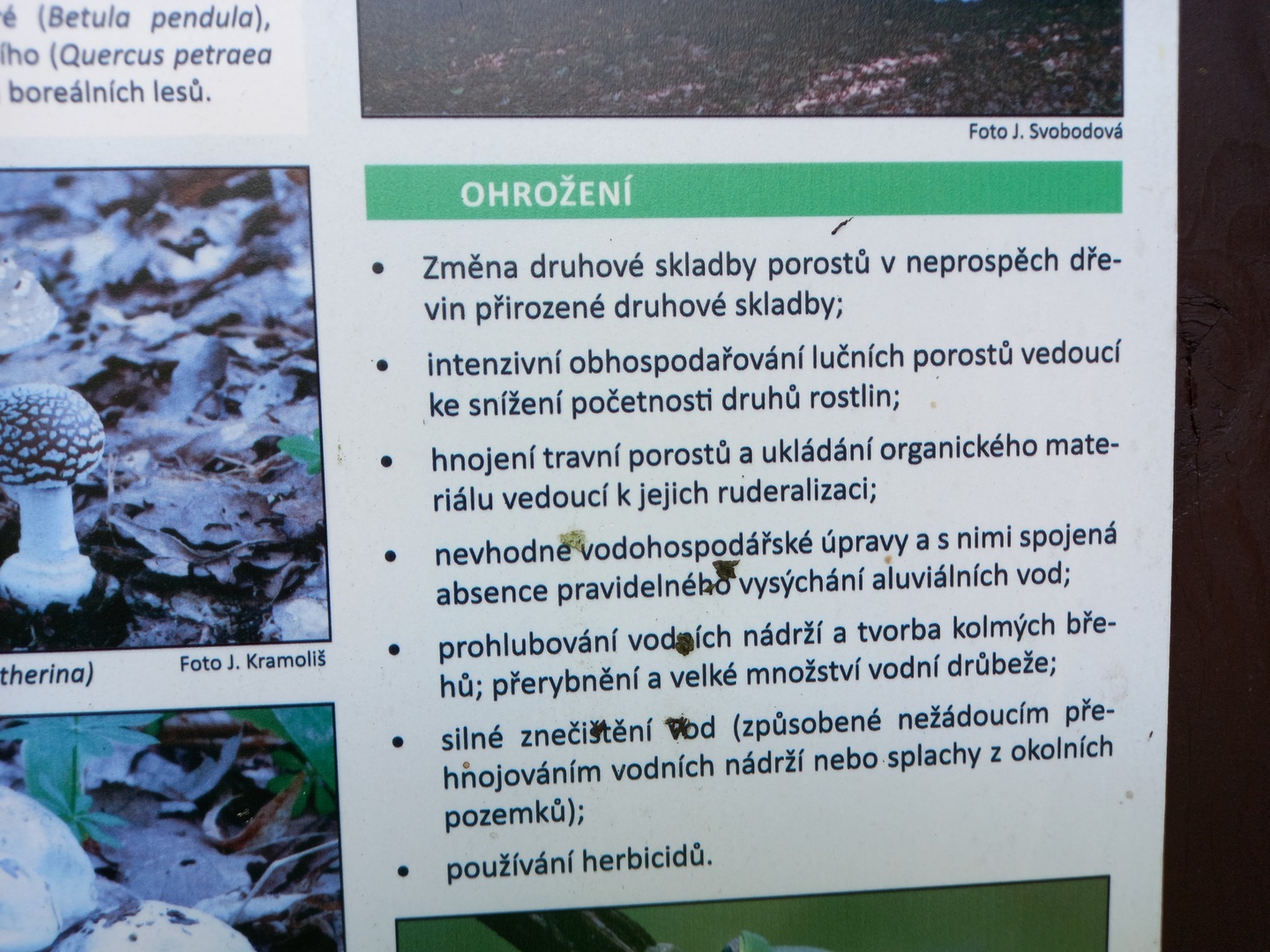 20210927_101142 (Kopírovat)