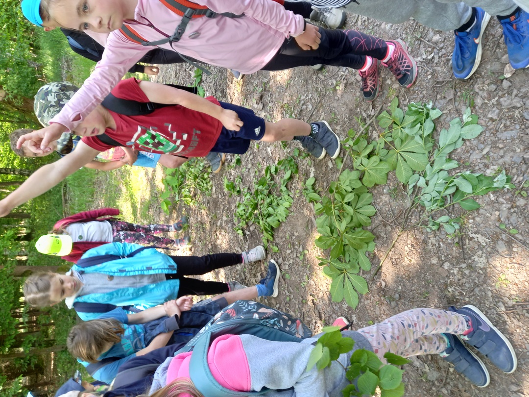 20230525_110909 (Kopírovat)