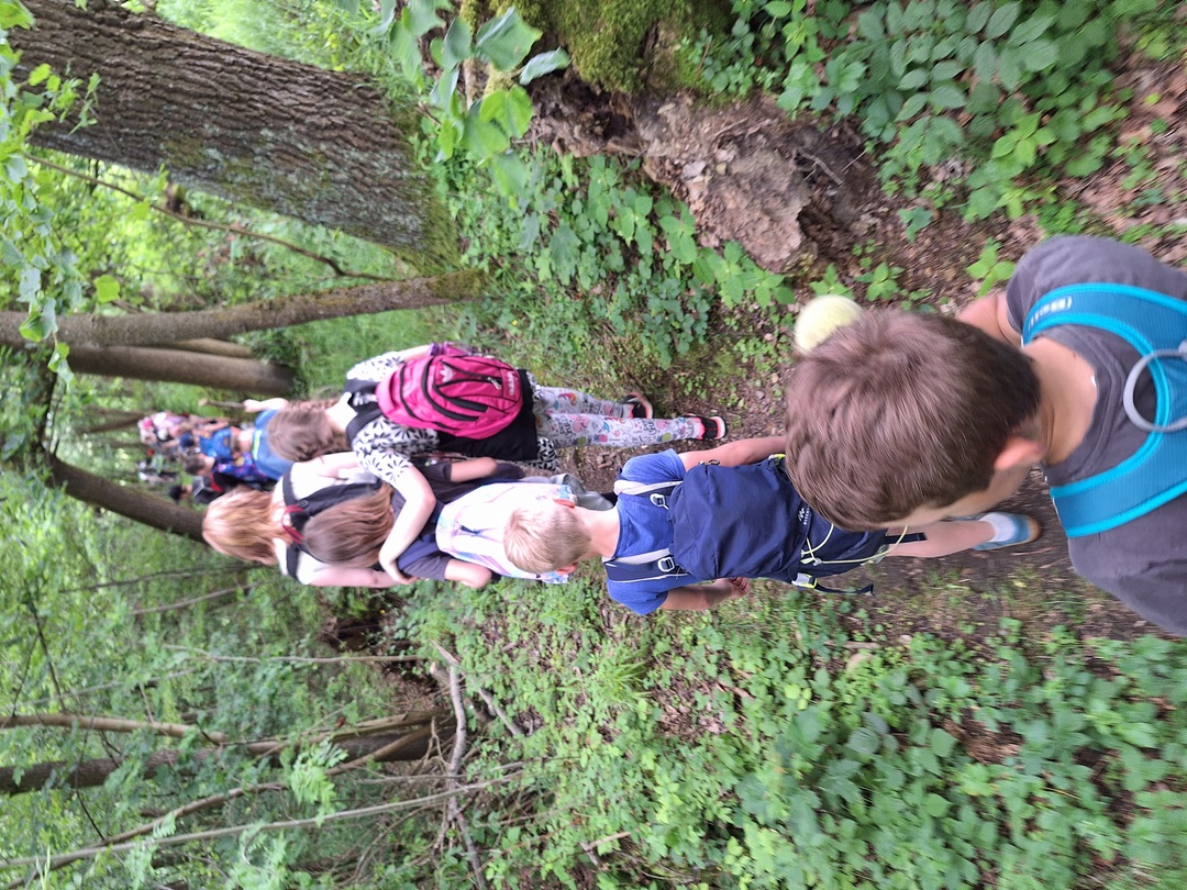 20240527_132012 (Kopírovat)