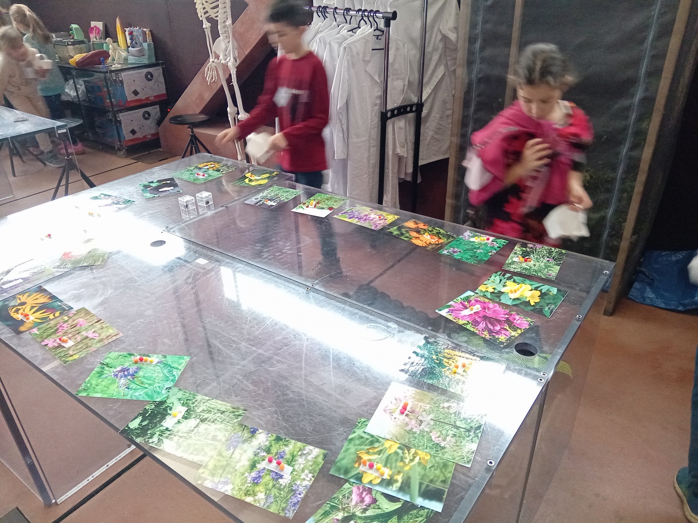 20241111_115605 (Kopírovat)
