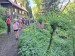 20240529_110211 (Kopírovat)